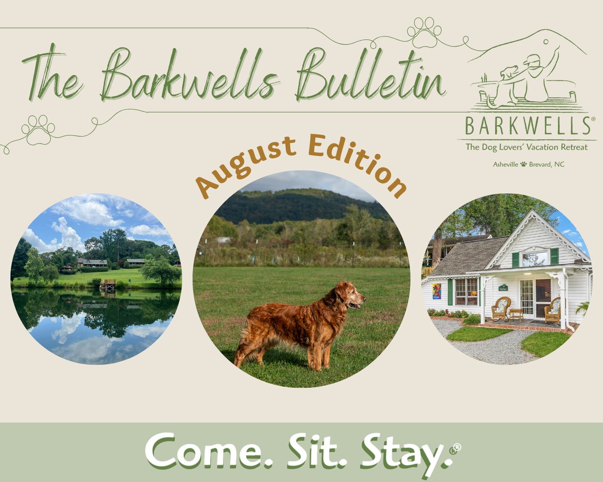 August 2026 Barkwells Monthly Newsletter Email Header