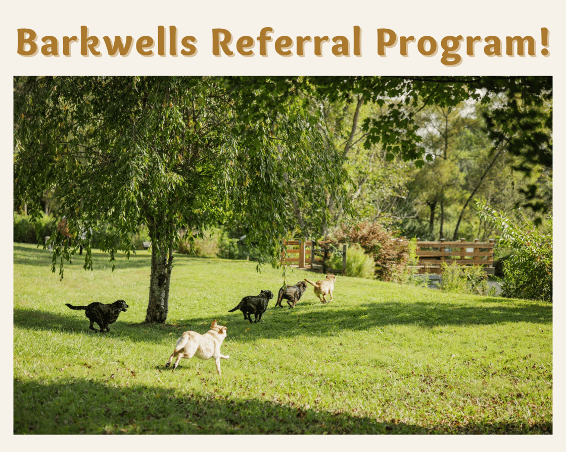 Barkwells Referral Program
