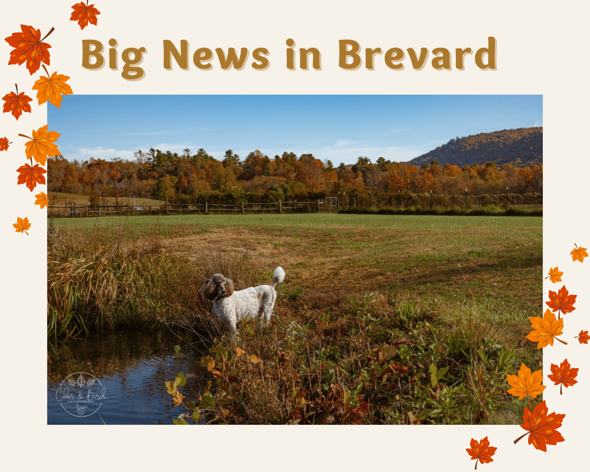 Brevard News
