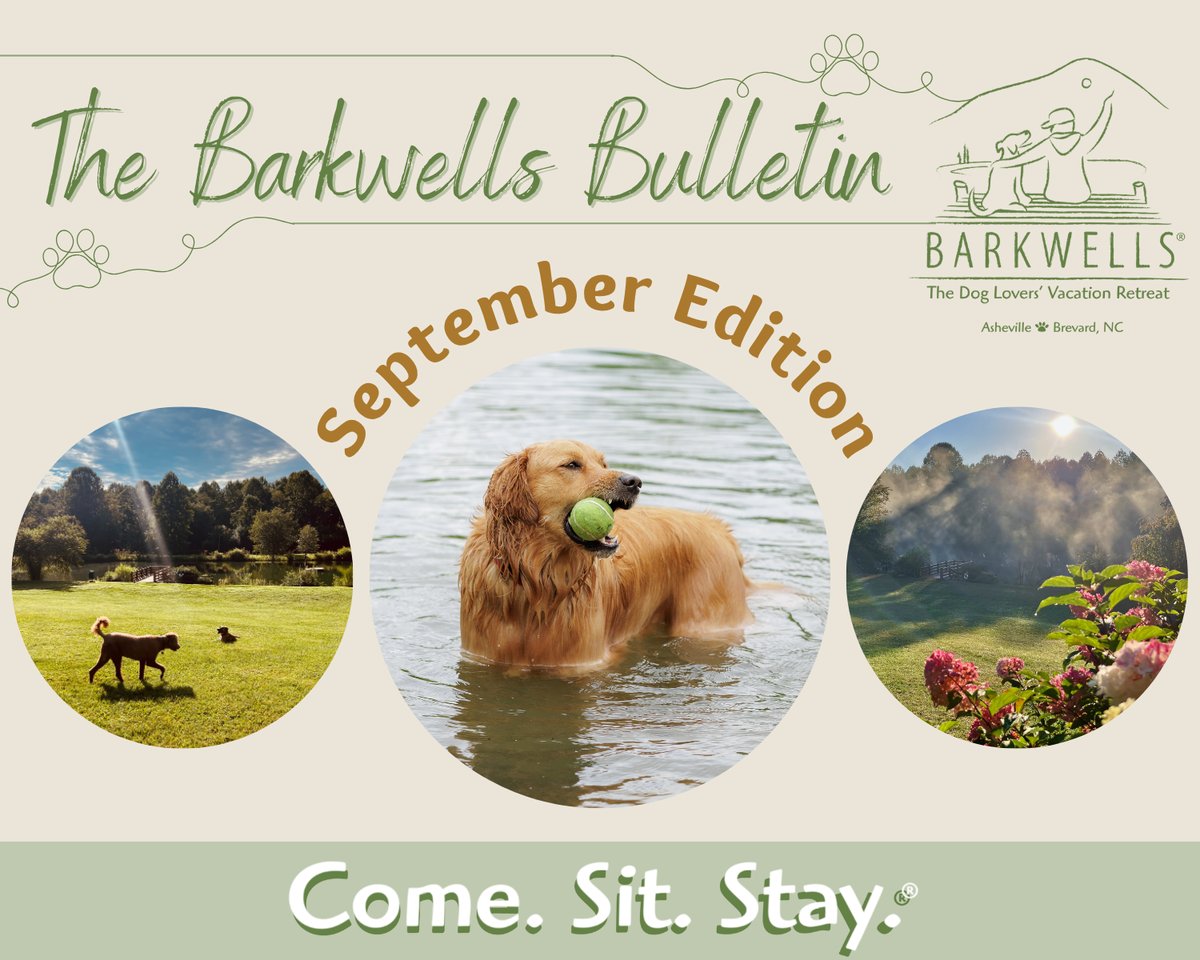 Sept 2026 Barkwells Monthly Newsletter Email Header-2